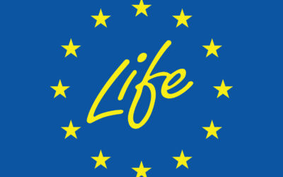 Entendiendo el Programa LIFE